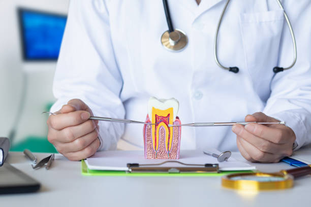 Best Dentist for Tooth Abscess  in Curtisville, PA